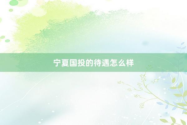 宁夏国投的待遇怎么样